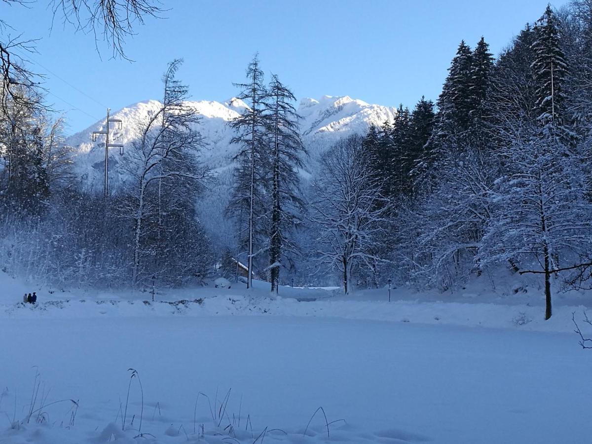 Adler Golling an der Salzach